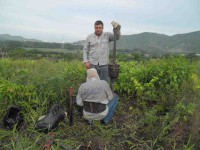 /album/a1/foto-36-jpg/